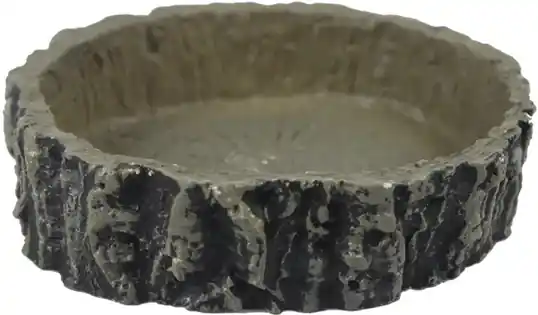 Super ofertă Vas teraristic 10x3 cm