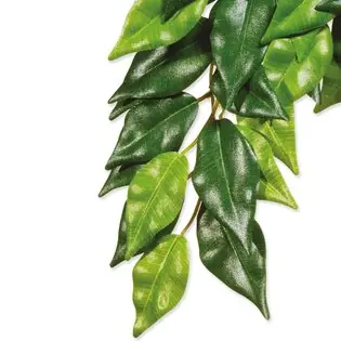 Decor Exo Terra Plantă textilă Ficus mic Promoție