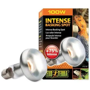 Bec Exo Terra Intense Basking Spot 100W Ofertă specială