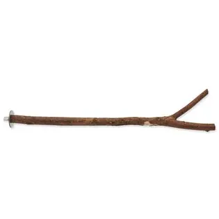 Biban Pasăre Bijuterie lemn natural 40cm Preț mic