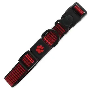 Expediere rapidă Guler Active Dog Strong L rosu 2,5x45-68cm