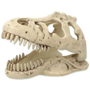 Reducere specială Decorat Craniu Repti Planet T-REX 13,3x8,5x9cm