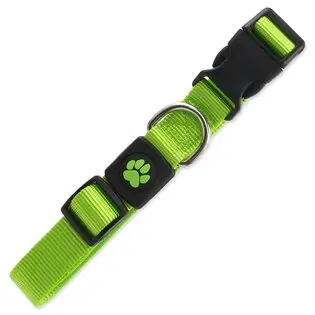 Reducere de preț Guler Active Dog Premium L lime 2,5x45-68cm