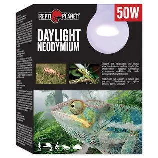 Bec Repti Planet Daylight Neodim 50W Bestseller