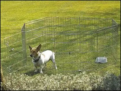 Preț redus Incinta Savic Dog Park 2 91cm