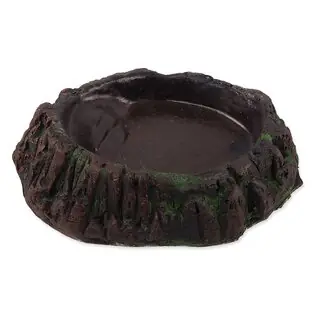 Bol Repti Planet terariu 14,5x11,5x3,5cm Vezi acum