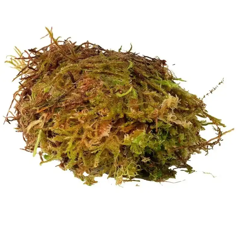 Reducere de preț Muschi uscat sphagnum pentru terarii, HabiStat Sphagnum Moss, 250 g
