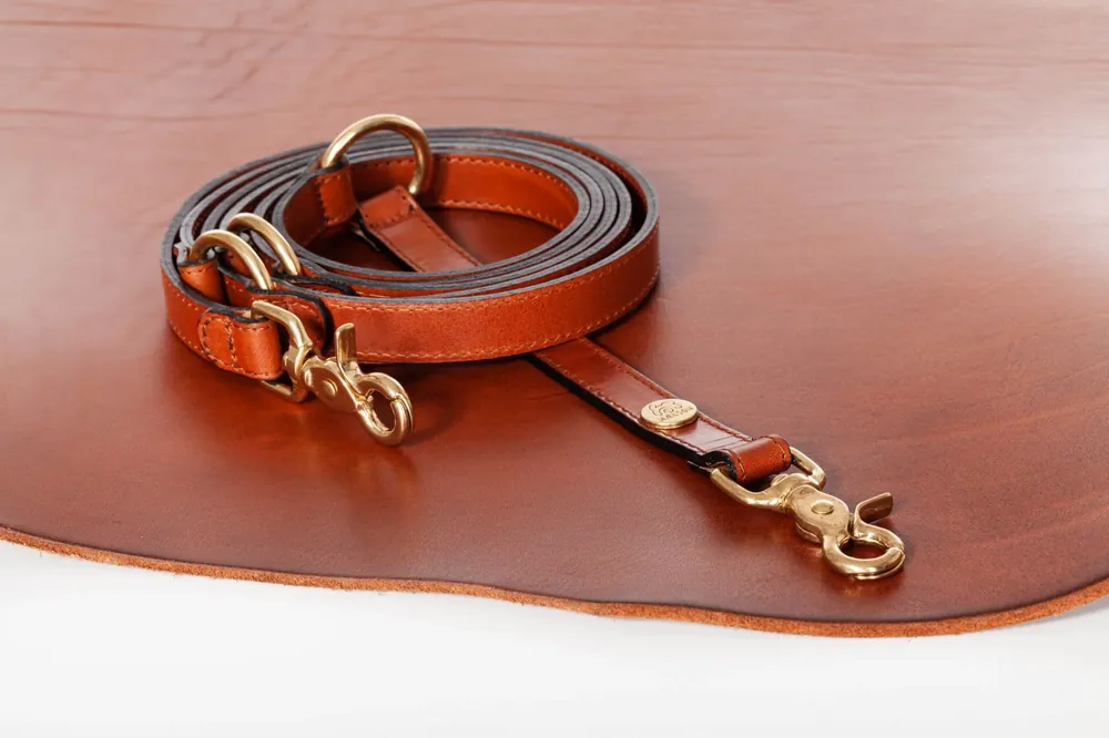 Premium Lesa maro de piele pentru caini, EcoSkin Leas‘H 210/2.0 cognac/steel, 210 x 2 cm