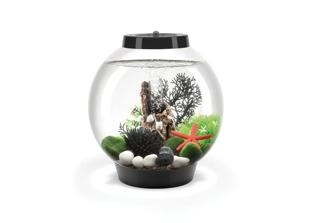 Acvariu Oase biOrb CLASSIC 15 LED negru Cumpără online