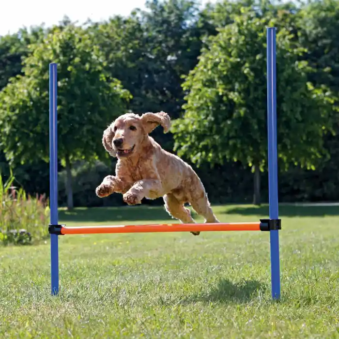 Obstacol Pentru Caini, Fun Agility, Plastic, 123x115 cm, 3207 Reducere de preț