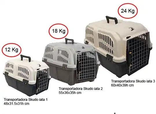 Cusca de transport Skudo 55/36/35 Iata 2 Preț mic