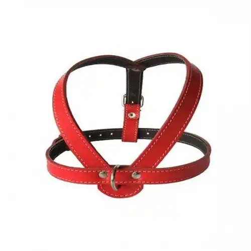 Ham L3 Piele Captusit 64-72 cm/16 mm - Rosu Cel mai vândut