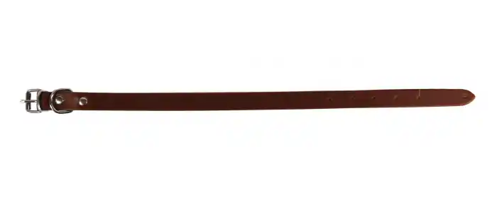 Cumpără online Zgarda L1 1.6/40 cm - Simplu - Maro