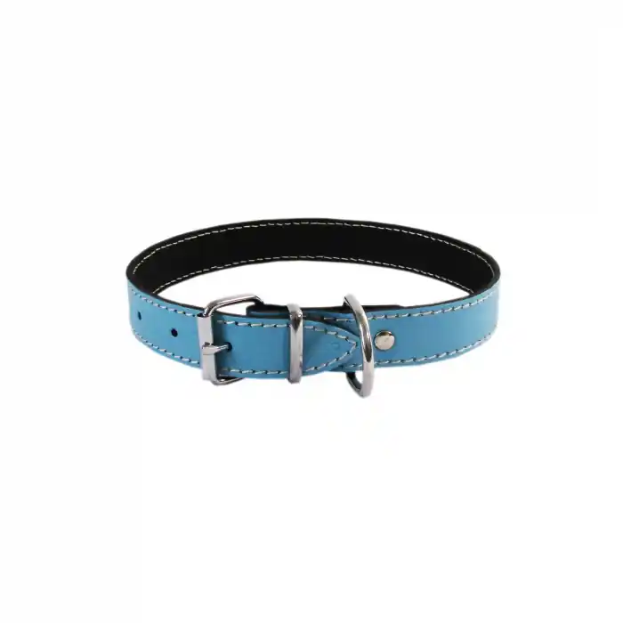 Popular Zgarda L3 2.5/53 cm - Simplu - Albastru