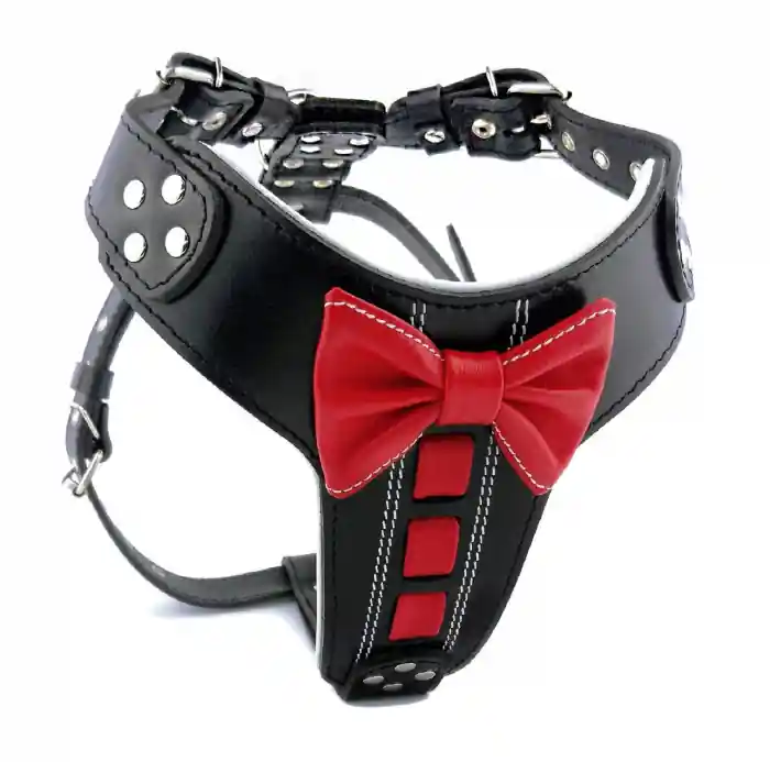 Ham Bowtie-Papion, Piele Naturala, Negru/Rosu, pentru Labrador, Doberman, Bulldog etc Nu rata