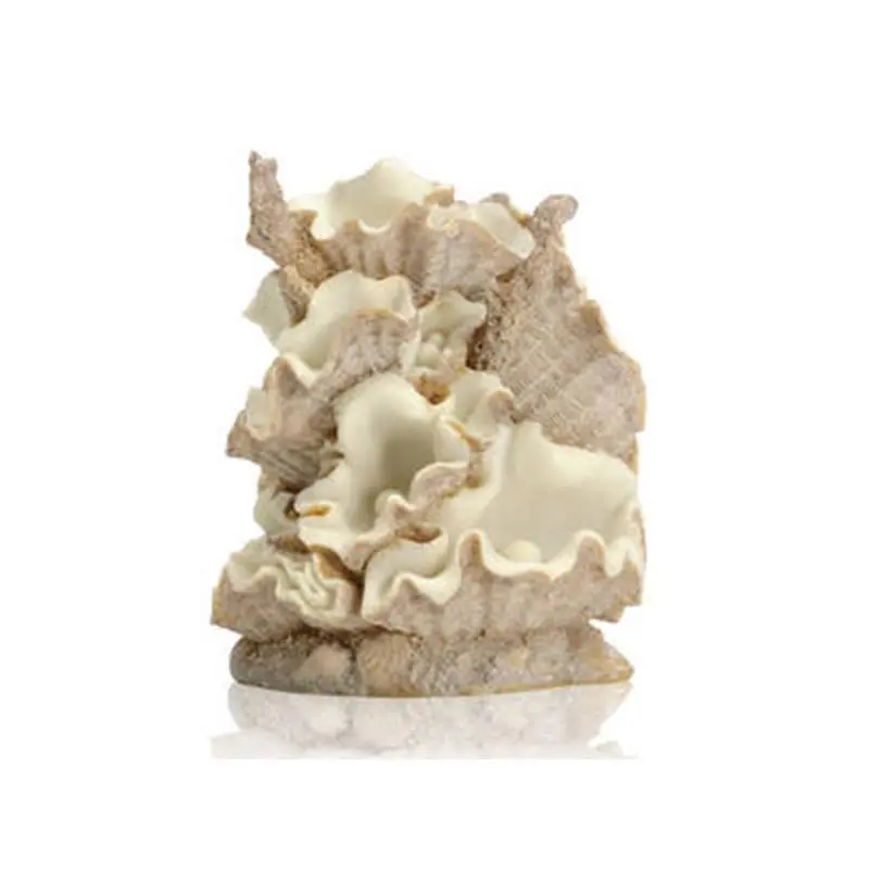 Decor grup scoici Oase biOrb Clamshell L Reduceri