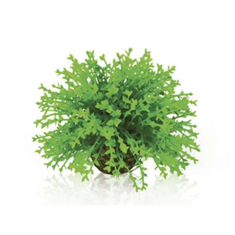 Comandă acum Decor planta Oase biOrb Flower ball verde