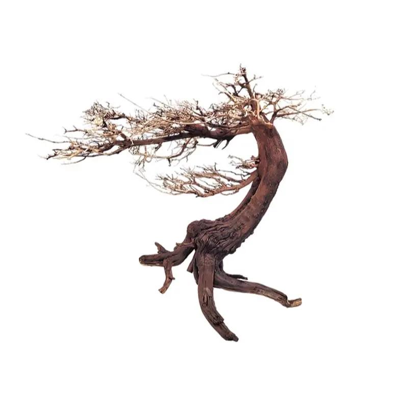Decor acvariu WIO Bonsai Arboretum M Retur gratuit