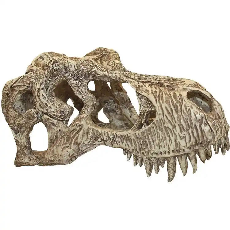 Decor terariu craniu de dinozaur Komodo T-Rex Skull L Expediere rapidă