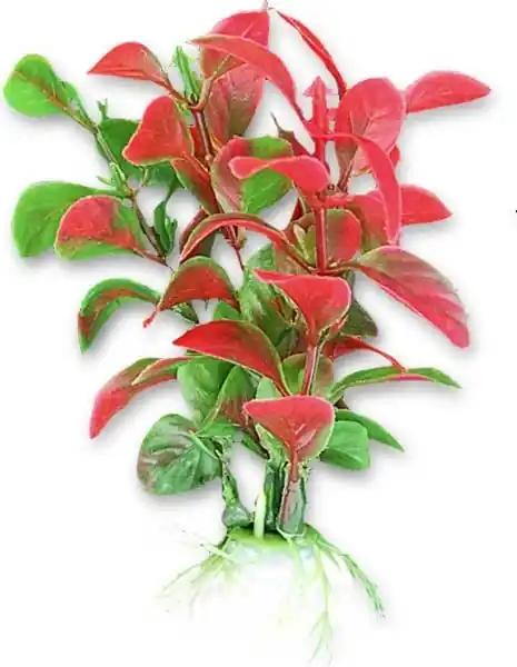 Planta Artificiala Pentru Acvariu, 10 cm, Verde/Rosu Retur gratuit