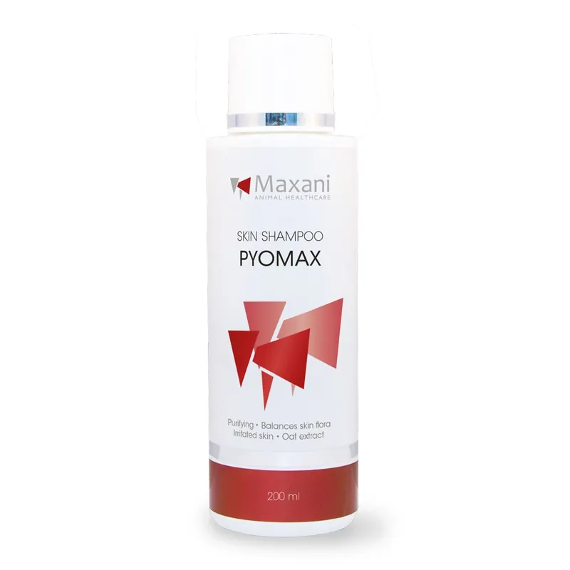 MAXANI PyoMax Skin Shampoo 200 ml - Sampon Dermatologic Antiseptic cu Clorhexidina pentru Piodermita si Infectii Fungice la Caini, Pisici si Cai Ieftin