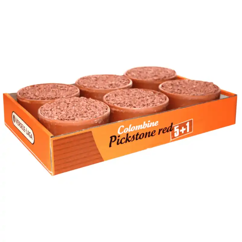 Preț redus Versele-Laga Colombine Pickstone Red (Tray 5+1)x 650 g Piatra Minerala de Ciugulit pentru Porumbei
