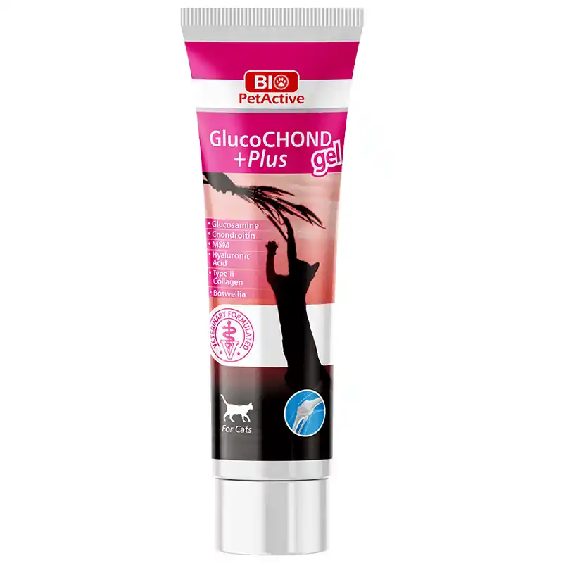 BIO PetActive GlucoChond Plus Gel 100 ml Supliment Gel pentru Articulatii la Pisici cu Glucosamina, Condroitina si MSM Suport pentru Mobilitate si Flexibilitate Cel mai vândut