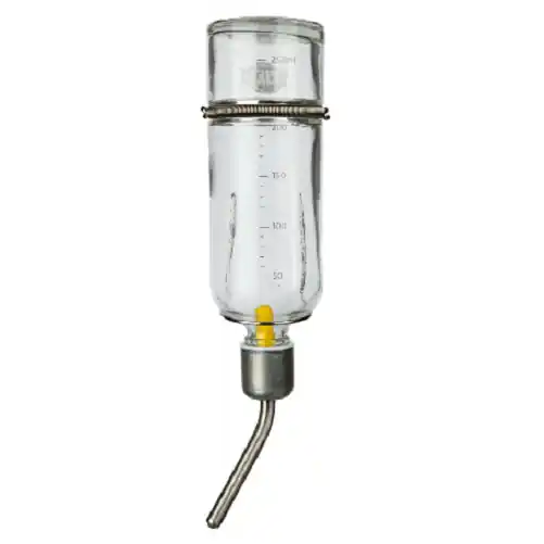 Adapatoare din Sticla cu Bila Pentru Veverite Degu 250ml Livrare rapidă