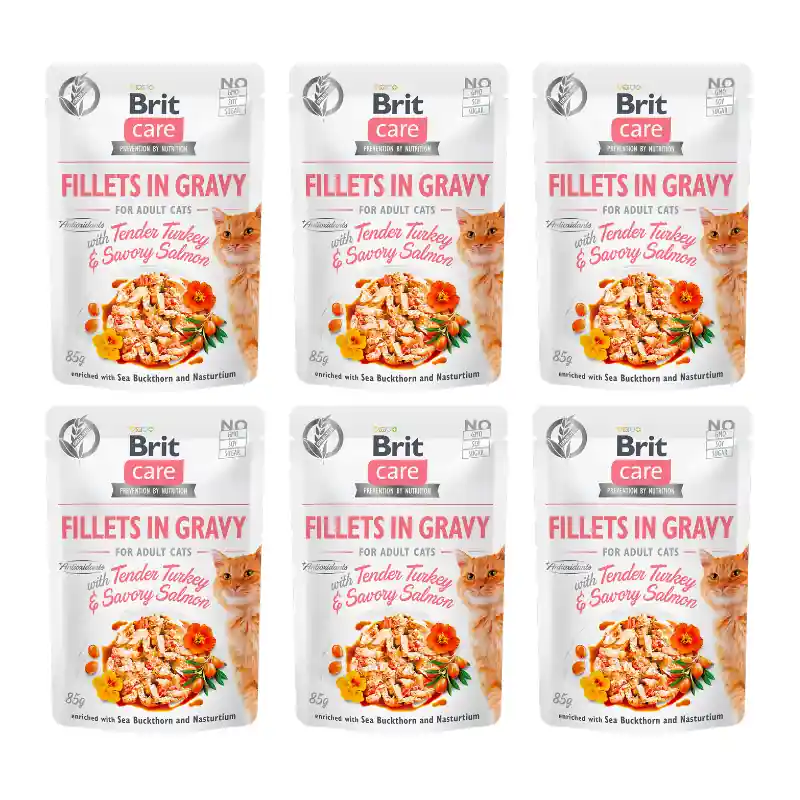 Expediere rapidă BRIT CARE Fillet in Gravy, Curcan si Somon, Set Plicuri Hrana Umeda, Fara Cereale, Pisici (file in sos) 6x85g
