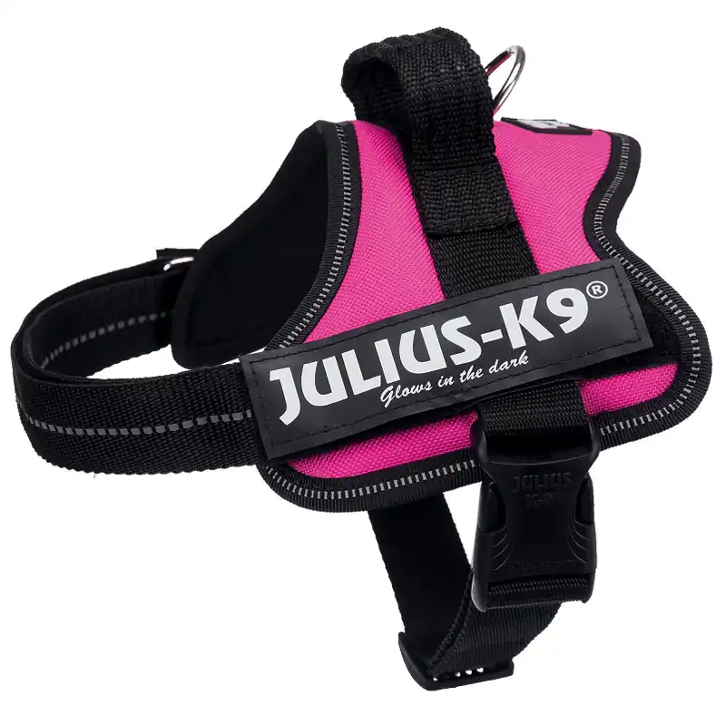 JULIUS K9 IDC POWER Fucsia, Marime Mini, Ham Caine 7-15kg Retur gratuit