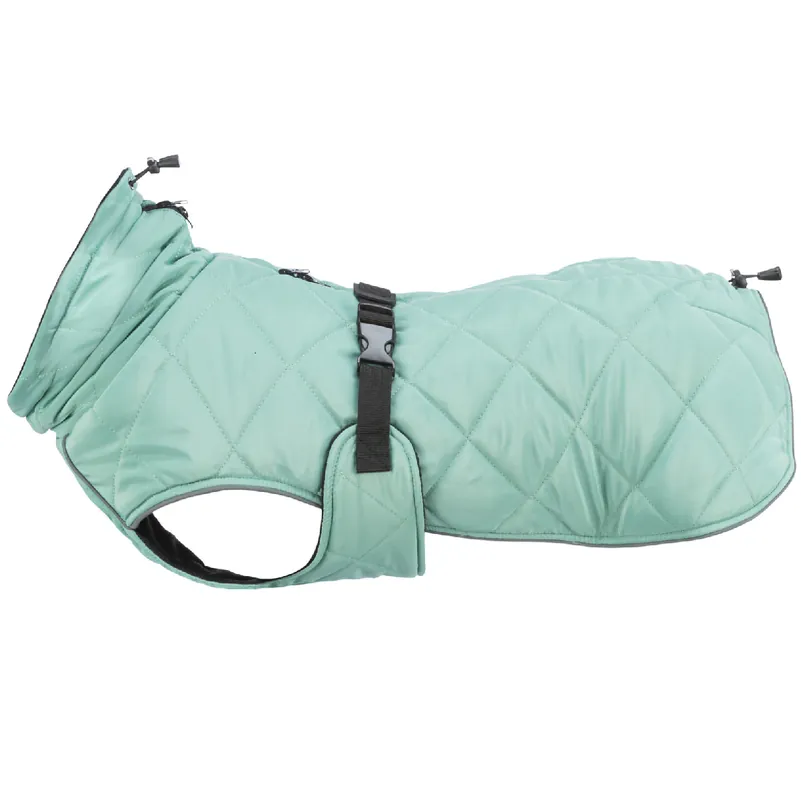 Haina Pentru Caini CityStyle OSLO, Verde, Marimea M 50cm Disponibil imediat