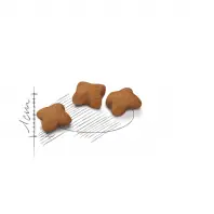 Cel mai bun preț Royal Canin Kitten, hrana uscata pentru pisici, 2 kg