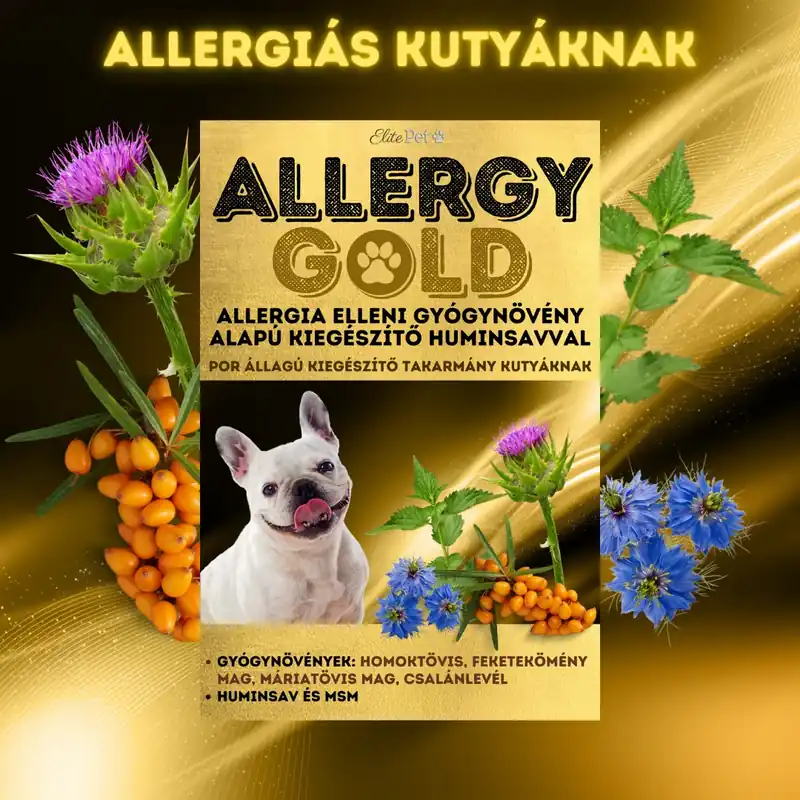 Allergy Gold produs antialergic pentru câini Noutate