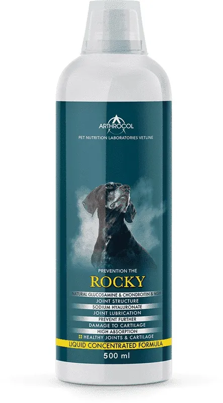 Preț redus Arthrocol Rocky sirop de întărire a articulațiilor și cartilajelor
