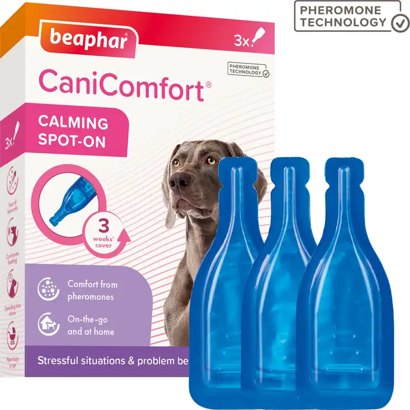 Lichidare de stoc Beaphar CaniComfort pheromones Spot-On pentru câini