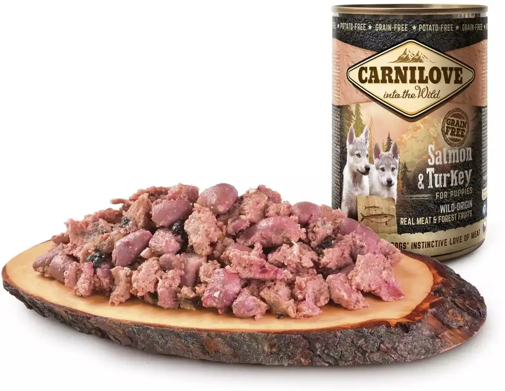 Expediere rapidă Conservă CarniLove Puppy Salmon & Turkey