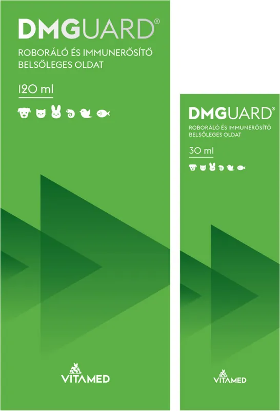 DMGuard supliment nutrițional pentru întărirea imunității Nu rata