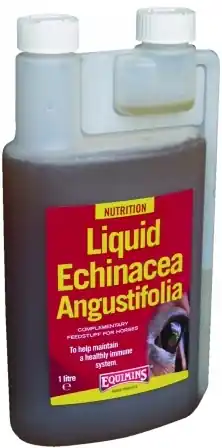 Equimins Echinacea Herb Liquid – imunitate puternică cai Popular