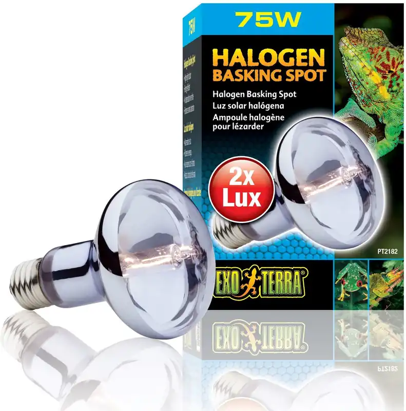Ultima șansă Exo Terra Sun Glo - Lampă cu hologen