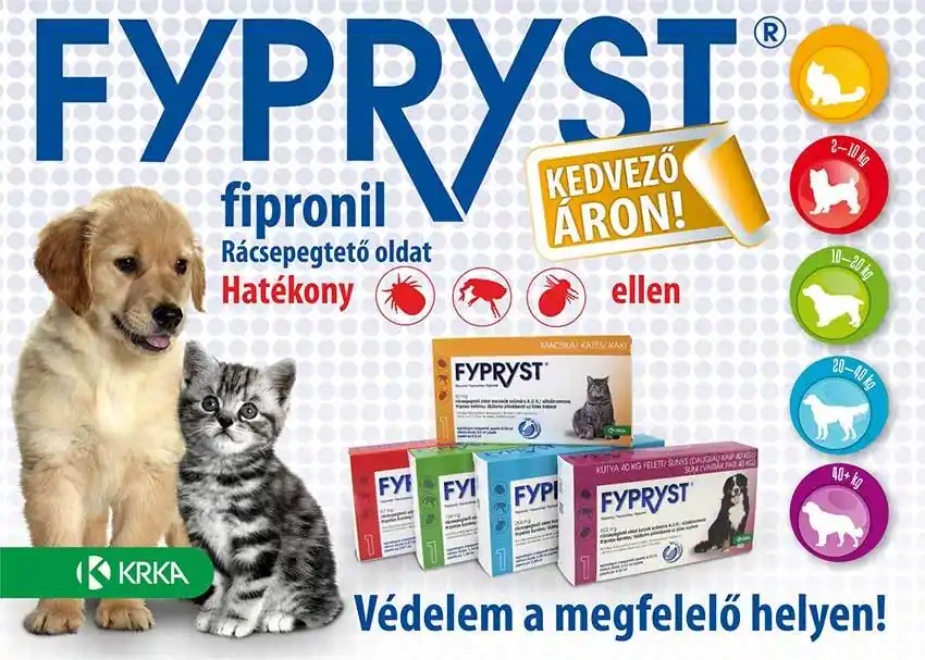 Ieftin Fypryst Spot On Dog