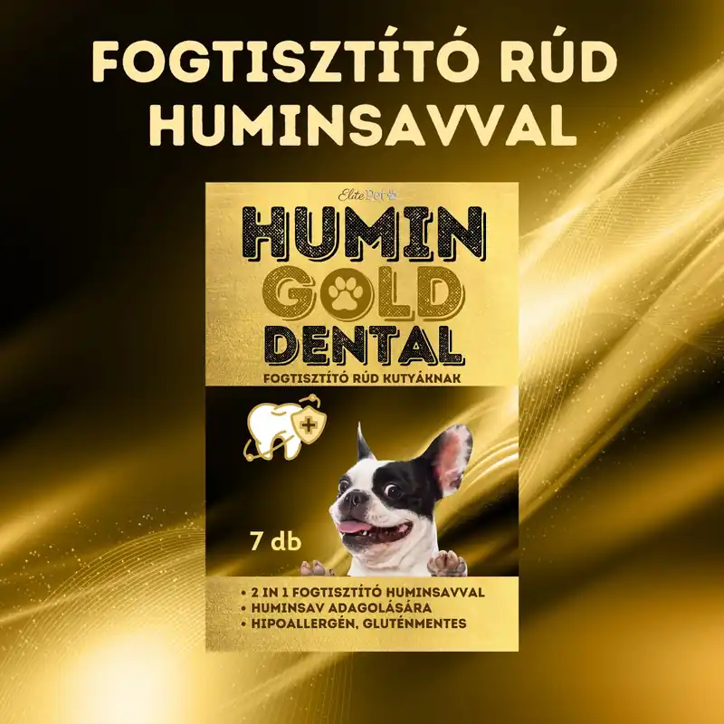 Humin Gold Dental Chilipir