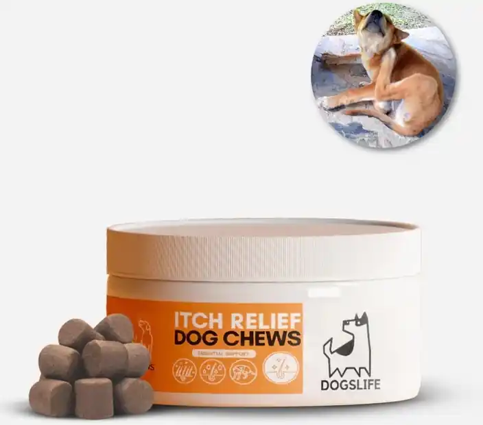 OurDogsLife Itch Relief Chews - Gustare care ameliorează și previne mâncărimile pentru câini Discount