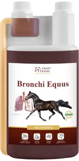 Over Horse Bronchi Equus pentru cai Livrare rapidă
