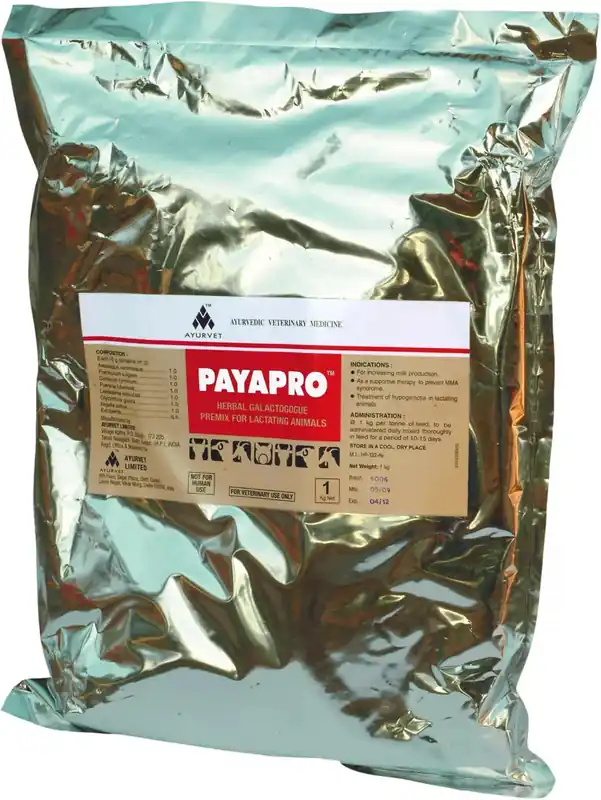 Payapro pudră – Stimulent natural al producției de lapte, fără hormoni, pentru mamifere de fermă. Ofertă
