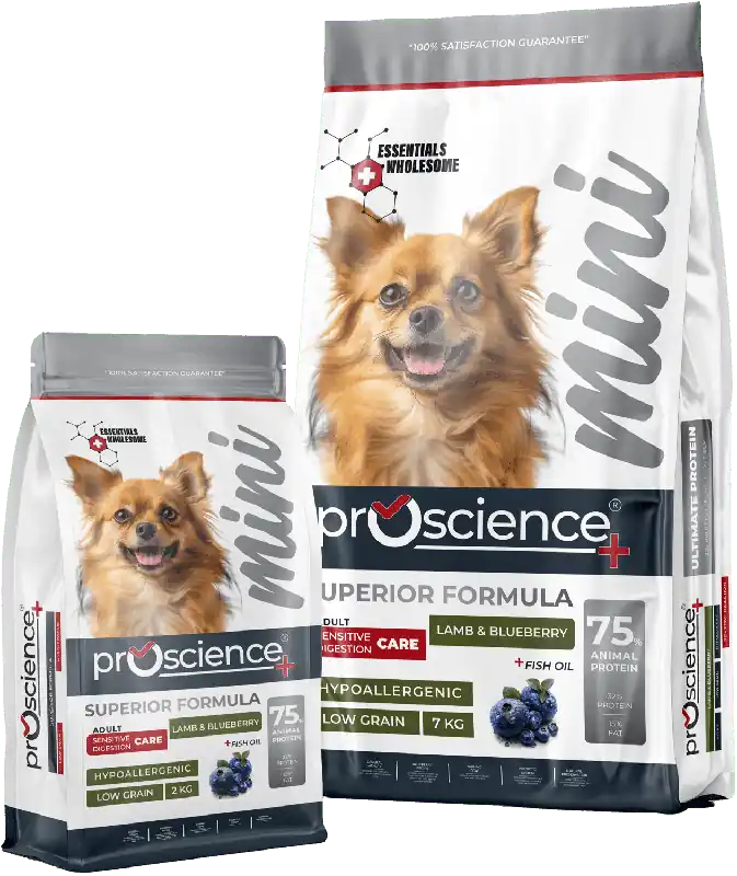 Promoție ProScience Mini Adult Dog Lamb & Blueberry - Hrană cu miel şi afine pentru câini adulți de talie mică