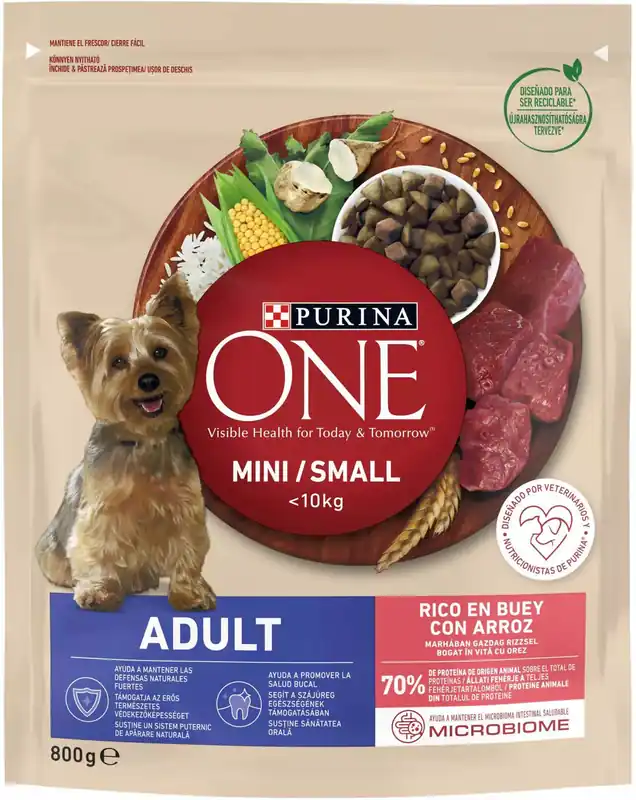 Noutate Purina One Mini/Small Sensitive (anterior Delicate) - Hrană pt câini Adulți de talie mică sensibili cu somon şi orez