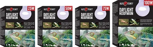 Repti Planet Daylight Neodymium Livrare expres