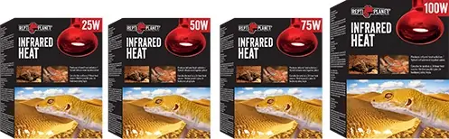 Disponibil imediat Repti Planet Infrared Heat