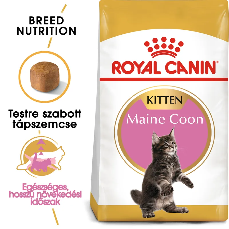 Chilipir Royal Canin Maine Coon Kitten - hrană uscată pisici junior