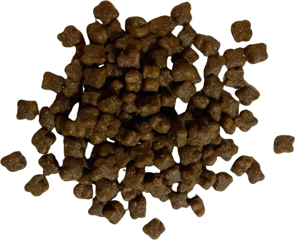 Premium Susa Top Cat - Hrană cu carne de struț